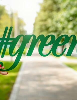 person holding green signage