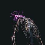 skeletal illustration on black background