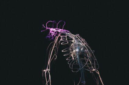 skeletal illustration on black background