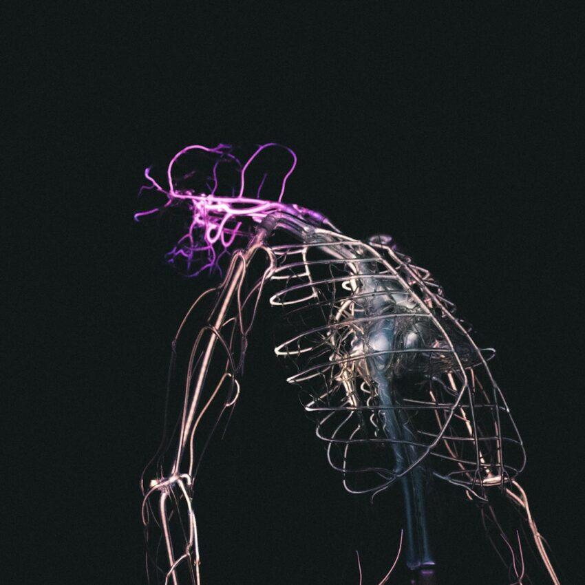 skeletal illustration on black background