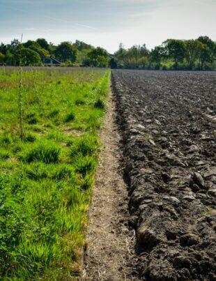 a field with dirt and grass