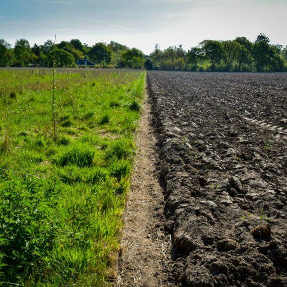 a field with dirt and grass
